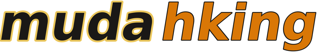 mudahking logo